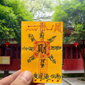 "CAI" (Wealth Magnet) Good Luck Card for Phone Case - Financial Flow & Abundance